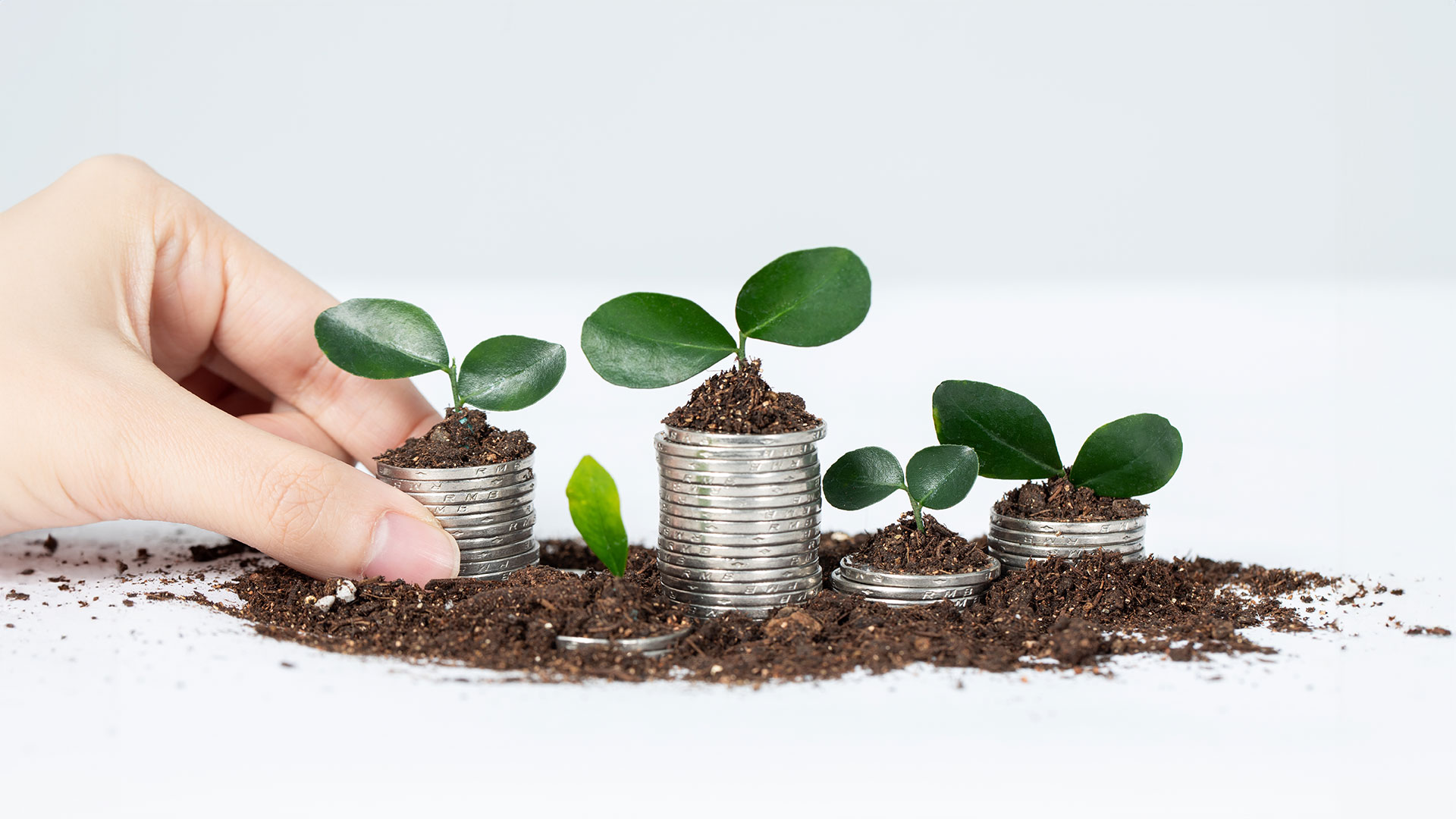 person planting seed money for business