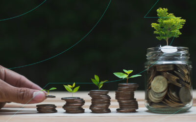 Do you need to finance your business – Key Considerations to make