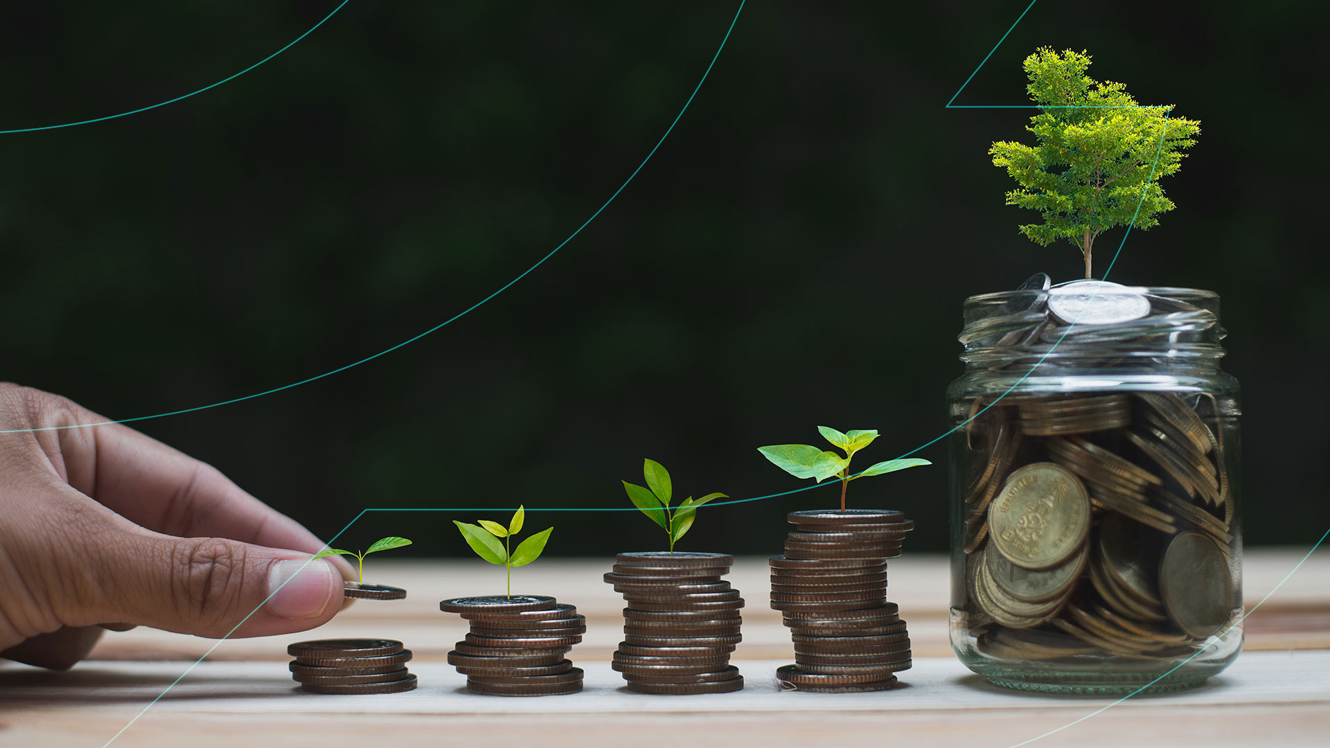 Image of money being invested with the money growing and plants growing on the money